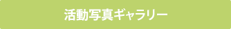 活動写真ギャラリーについて